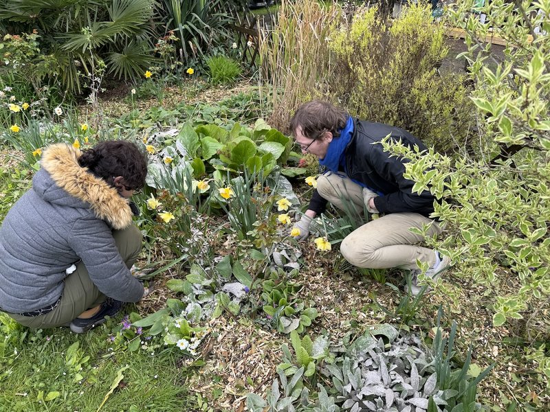 Entretien du jardin et de la maison